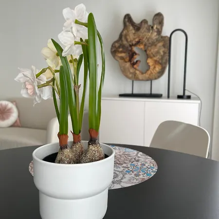Apartament Picasso Centre 1d *