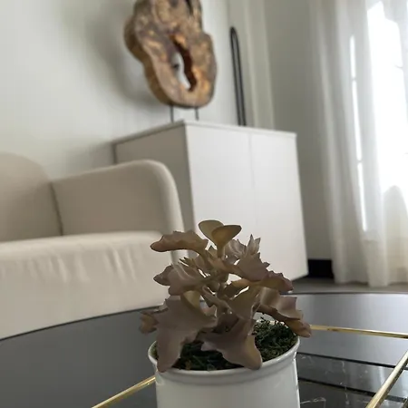 Apartament Picasso Centre 1d